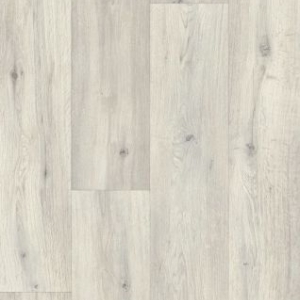 Silk Oak 109S