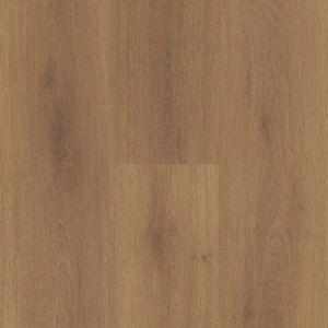 Terra