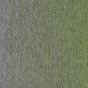 6384273