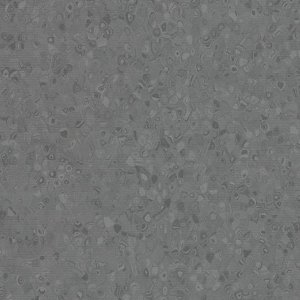 50006