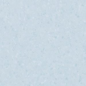 50036
