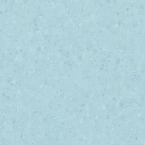 50040