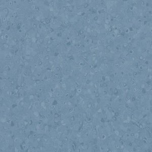 50041
