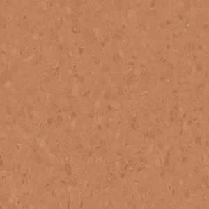 50060
