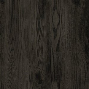 MO 018