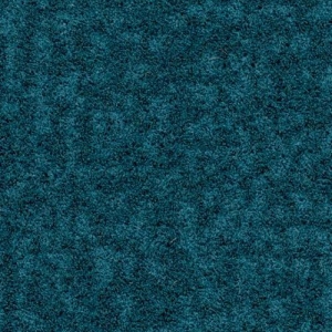 246032