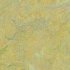 Фото - Натуральний лінолеум Forbo Marmoleum Vivace (0200010)